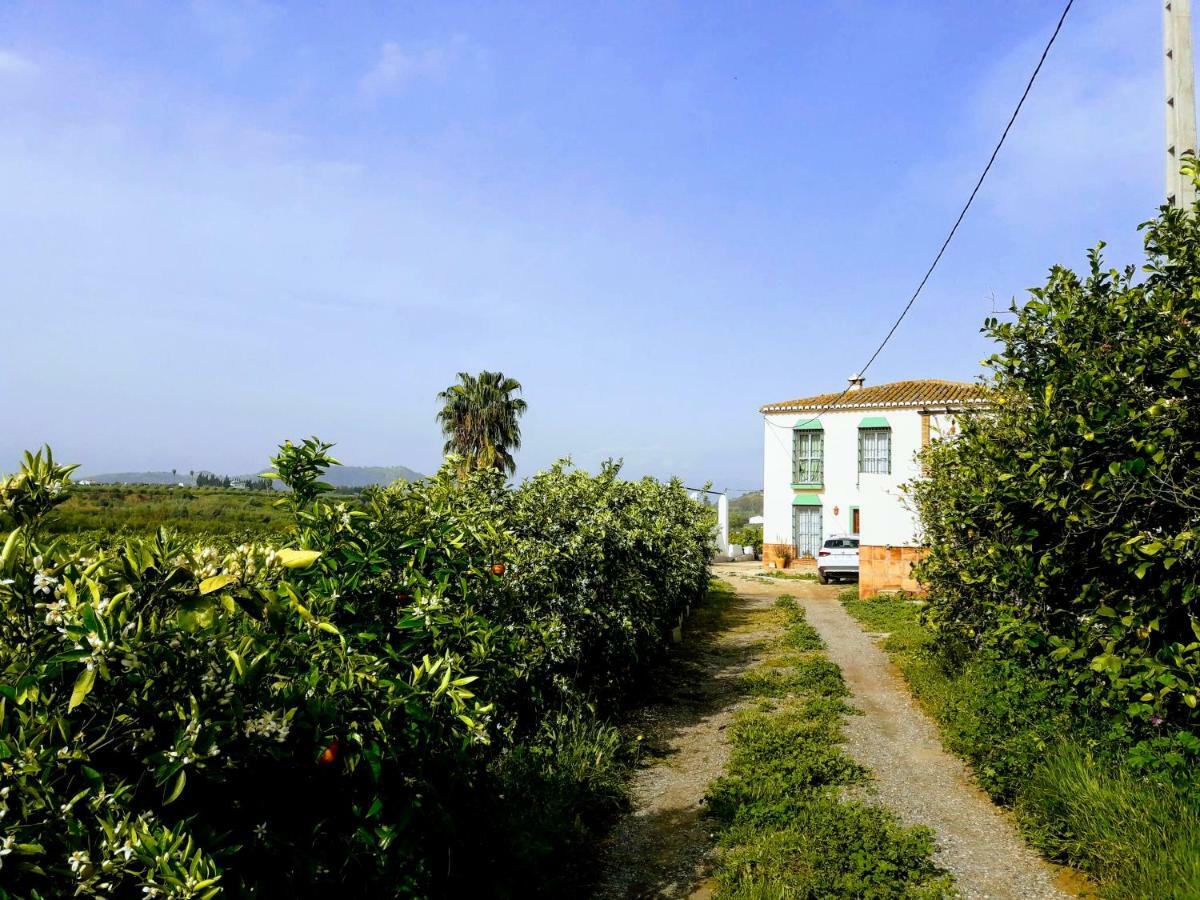 Casa Rural La Estrella Пісарра Екстер'єр фото